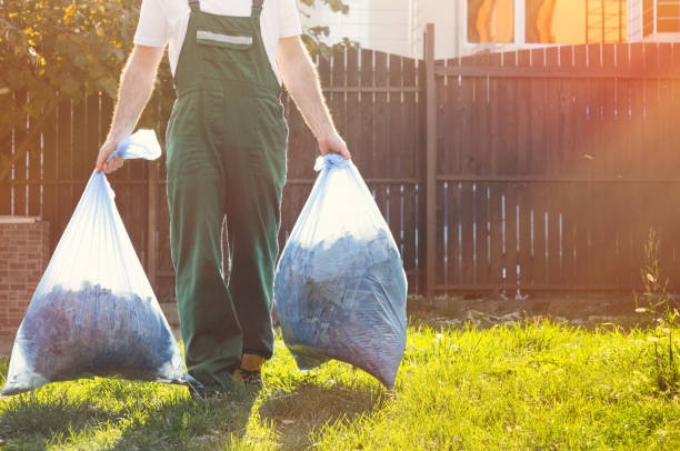 Best Junk Hauling Services  in Johnson City, TN
