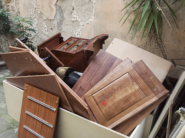 Yard Cleanup Services in Johnson City, TN
